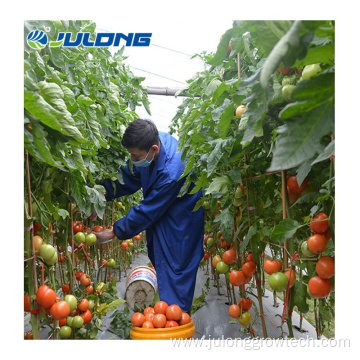 multi-span polycarbonate tomato hydroponic greenhouse